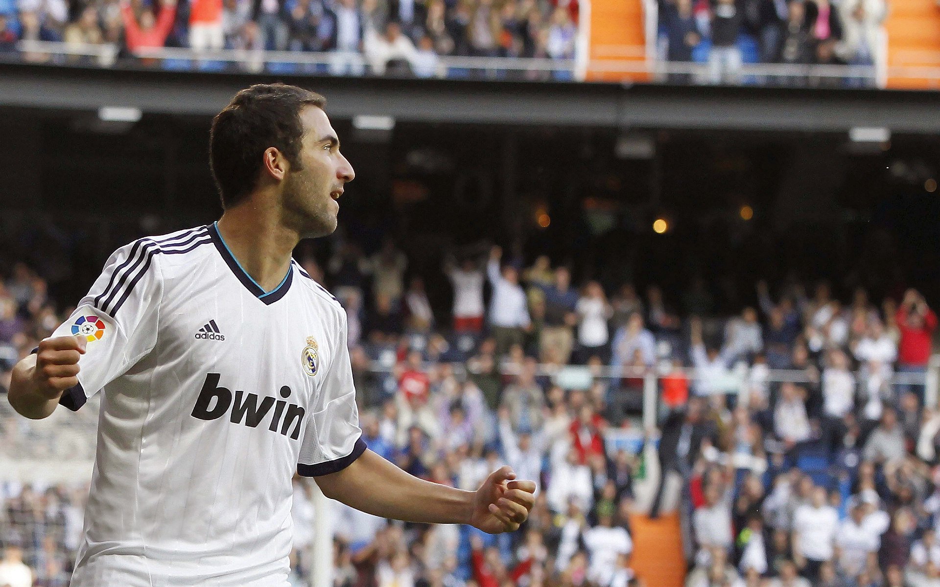 观众席上的欢呼声，展现运动激情，观众们的欢呼声